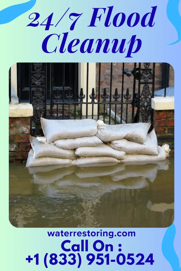 24/7 Flood Cleanup in Junction City, LA